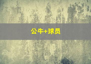 公牛 球员